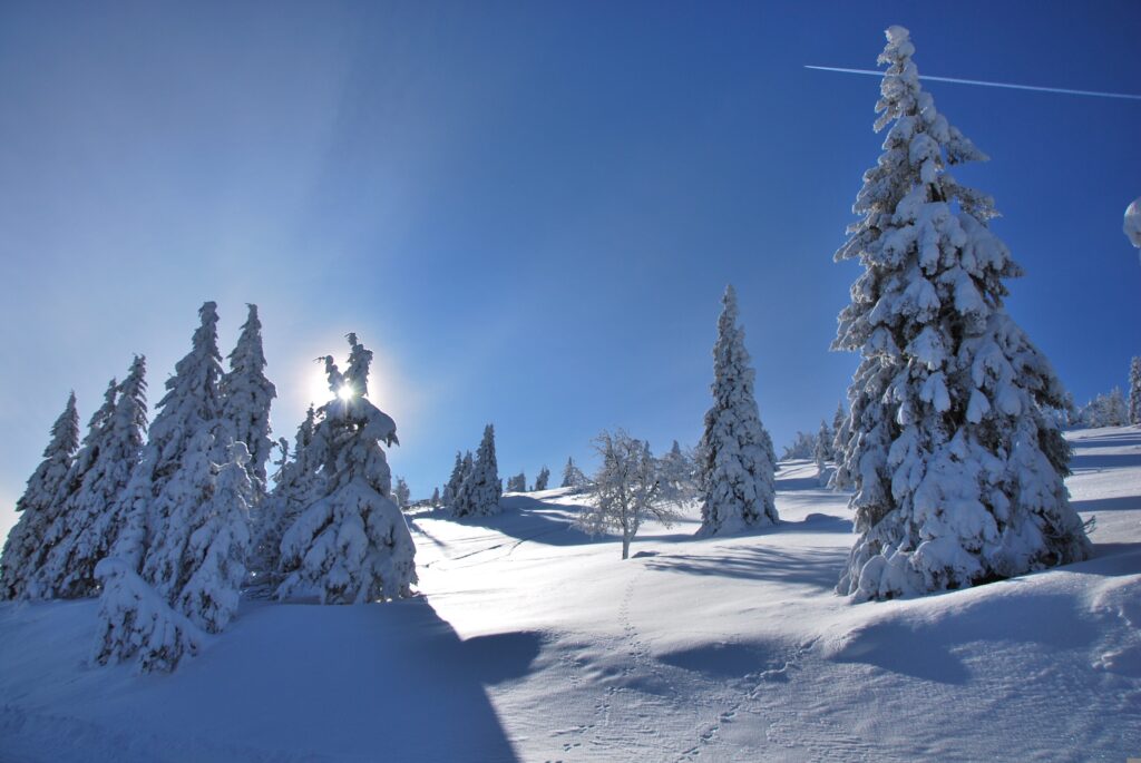 kossi007 snow 2366010